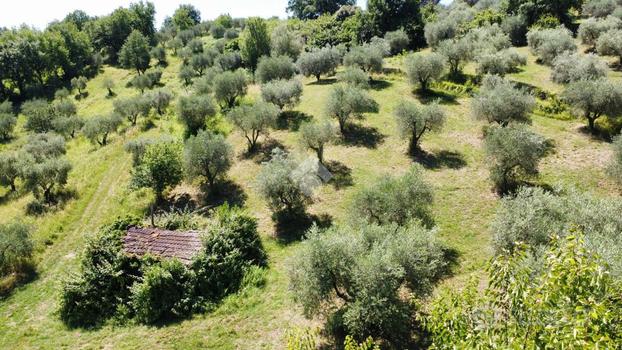 TER. RESIDENZIALE A FIANO ROMANO