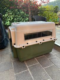 Kennel