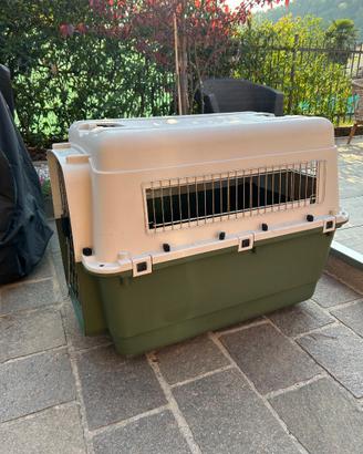 Kennel