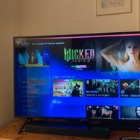 Televisore sansung 49 pollici