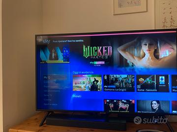 Televisore sansung 49 pollici