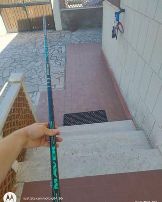 Canna Maver 4 mt