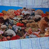 Sfondo Acquario Marino Poster