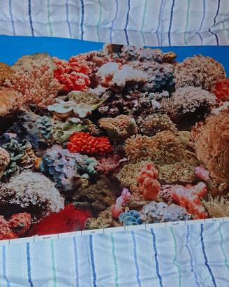 Sfondo Acquario Marino Poster