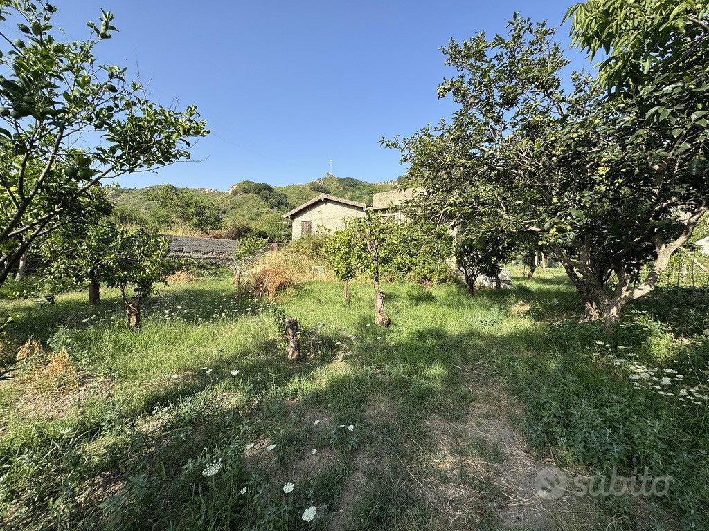Terreno Agricolo Rometta [Cod. rif 3333050VCG] - Vista 3