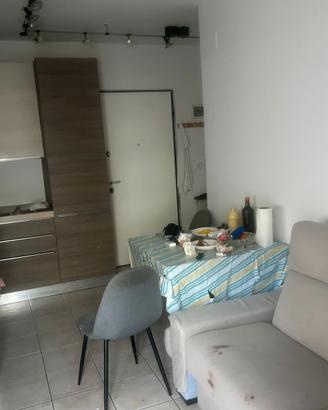 Stanza in appartamento condividso