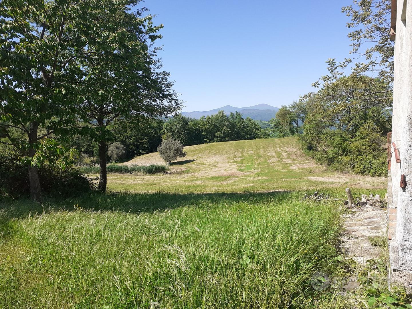 Terreni agricoli a semproniano (gr) - Vista 3