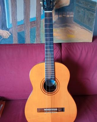 Chitarra Di Giorgio Estudiantes 18 1976
