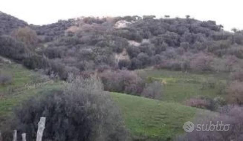 Immobile in asta di 40310 m² a Calascibetta - Altro