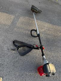 Decespugliatore a scoppio