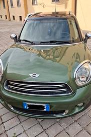 Mini Countryman D Style