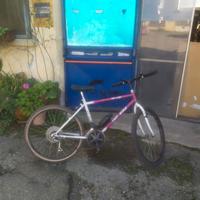 Bicicletta Top bike- ragazzo/adulto cambio SHIMANO