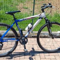 MTB Bottecchia 