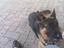 Immagine 3