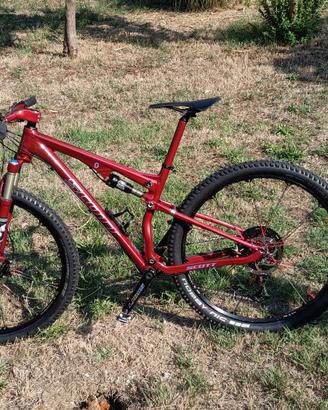 SCOTT FULL 29