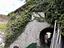 Immagine 14