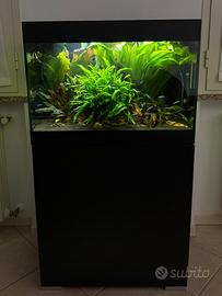 Acquario completo Oase StyleLine 125