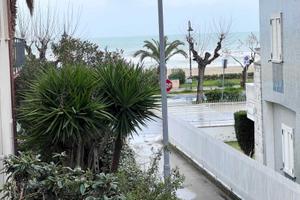 Vista mare 4 posti a mt. 50 dal mare zona pineta