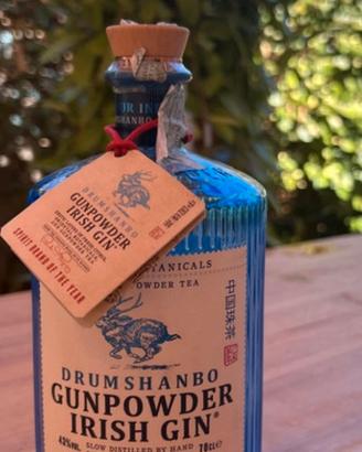 Bottiglia di gin vuota