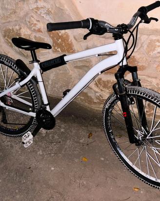 Bici rokrider da whillie