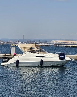 Salpa Laver 20.5