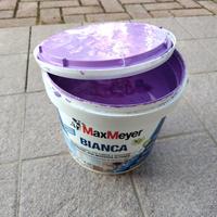 Pittura Lavabile Max Meyer Lilla