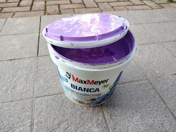 Pittura Lavabile Max Meyer Lilla