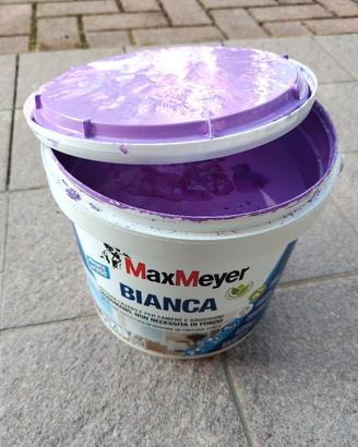 Pittura Lavabile Max Meyer Lilla