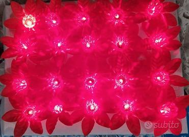 luci pisellini natale stella di natale