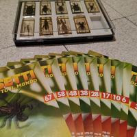 RBA Insetti da tutto il mondo