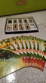 RBA Insetti da tutto il mondo