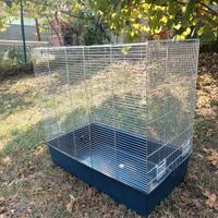 Gabbia uccelli - cocorite, calopsite, bengalini.