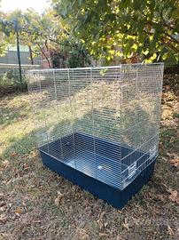 Gabbia uccelli - cocorite, calopsite, bengalini.