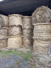 azienda agricola 
