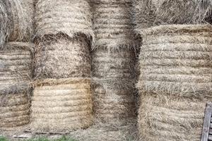 azienda agricola 