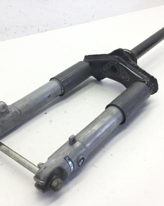 PIAGGIO ZIP 2T 50 FORCELLA FODERI STELI E PIASTRA 