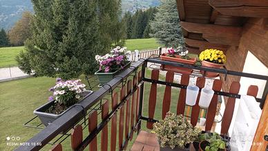 Stoner enego appartamento