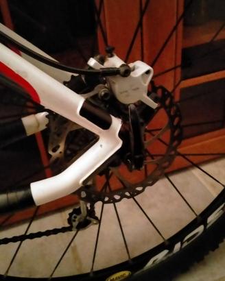 MTB Lee Cougan