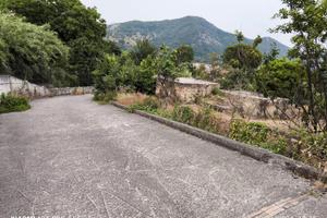 Vendita Terreno Agricolo con Casolare