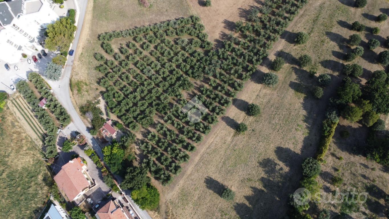 TER. AGRICOLO A TORTORETO - Vista 2