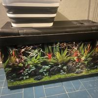 Acquario 200 l