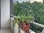 Immagine 28