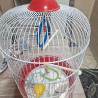 gabbia per pappagallini cocorito