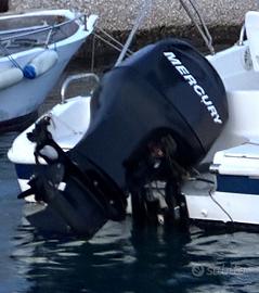 Motore fuoribordo mercury 115 cv efi anno 2011