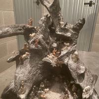 Presepio artigianale su tronco in legno