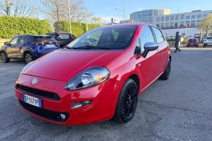 Fiat punto neopatentati