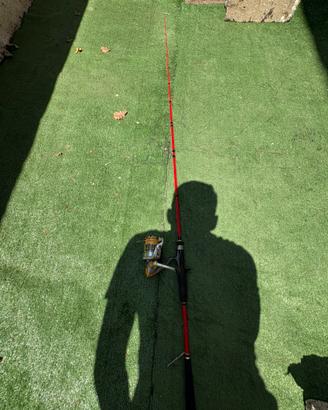 Canna da pesca spinning