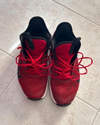 Scarpe basket 42.5 Nike LeBron