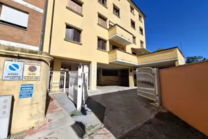 Singolo a Rovigo