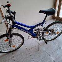 Bicicletta ragazzo